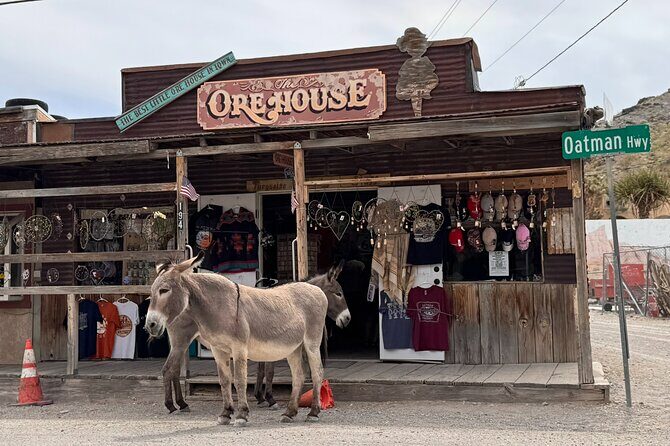 Las Vegas Ghost Town Tour and Historic Route 66 - How the Tour Works and What You Can Expect