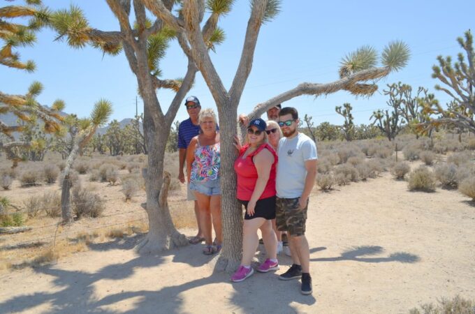 Las Vegas: Grand Canyon, Hoover Dam & 7 Magic Mountains Tour - Luxury Transportation and Guided Tour