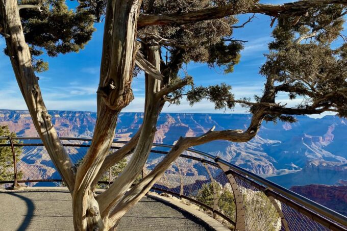 Las Vegas: Grand Canyon National Park With Lunch & Free Wifi - Navajo Cultural Insights