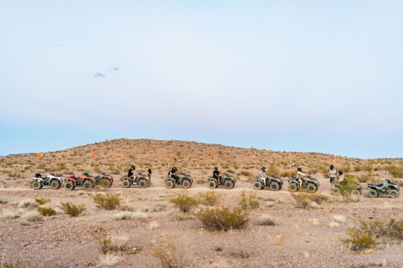 Las Vegas: Guided Las Vegas Desert ATV Tour - Customer Reviews and Feedback