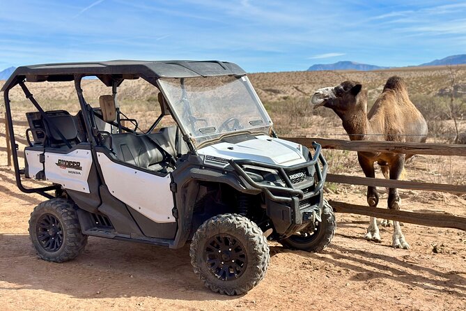 Las Vegas Guided UTV Safari and Zoo Tour - Tour Duration and Schedule