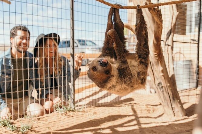 Las Vegas Guided UTV Safari and Zoo Tour - Accessibility Features