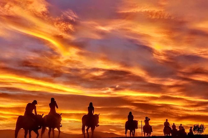 Las Vegas Horseback Ride With Meal - Logistics and Transportation
