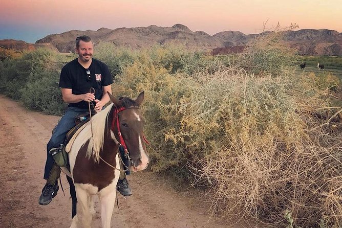 Las Vegas Horseback Ride With Meal - Customer Feedback and Ratings