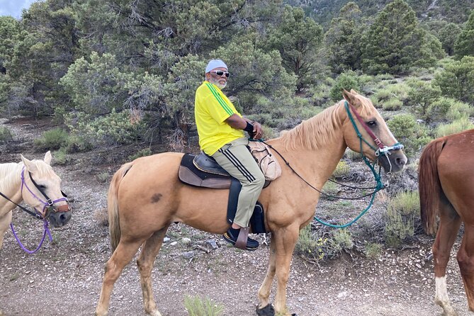 Las Vegas Horseback Riding in Cool Mountain Adventure - Policies and Restrictions