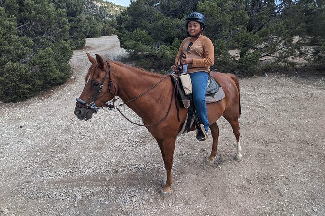 Las Vegas Horseback Riding in Cool Mountain Adventure - Horse and Rider Specifications