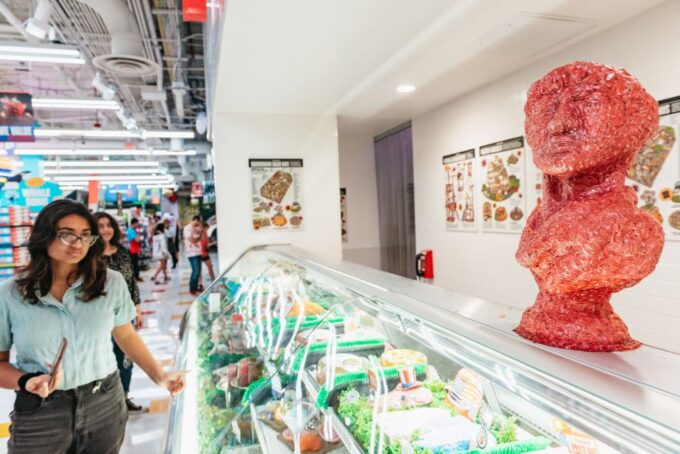 Las Vegas: Meow Wolfs Omega Mart Ticket - VIP Package and Datamosh Bar