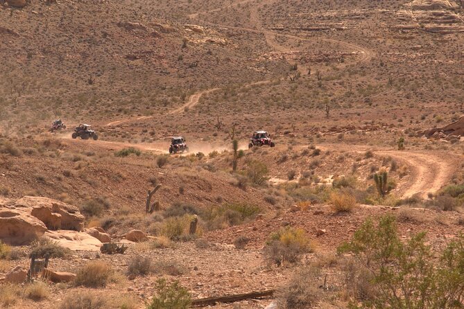 Las Vegas Mini Desert RZR Adventure - Safety and Responsibility