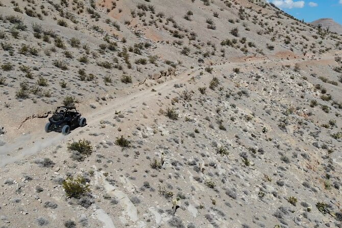 Las Vegas Mini Desert RZR Adventure - Pricing and Cancellation Policy