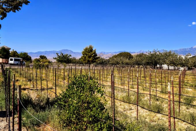 Las Vegas / Pahrump Wine Tasting Tour and Snacks - Frequently Asked Questions