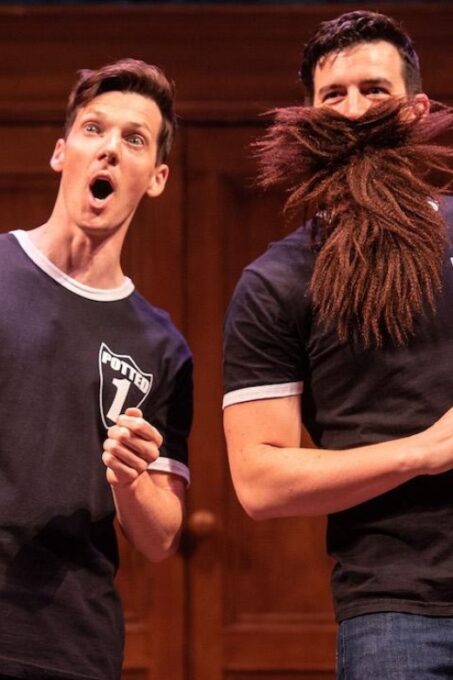 Las Vegas: Potted Potter - The Unauthorized Harry Experience - Accessibility and Suitability