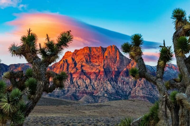 Las Vegas: Private Red Rock Canyon Guided Driving Adventure - Value and Cost Considerations