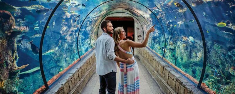 Las Vegas: Shark Reef Aquarium Entry Ticket - Location and Ease of Access