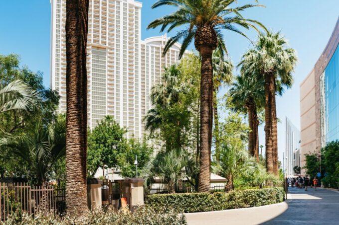 Las Vegas Strip: 3-Stop Pool Party Crawl With Party Bus - What to Bring