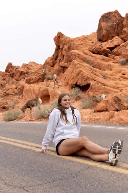 Las Vegas: Valley of Fire and Red Rock Canyon Day Trip - Experience Overview: What to Expect from the Tour