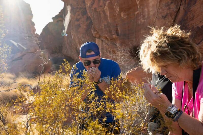 Las Vegas: Valley of Fire and Red Rock Canyon Day Trip - Who Might Not Love It?