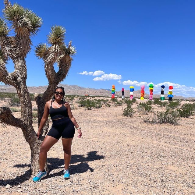 Las Vegas: Valley of Fire and Seven Magic Mountains Day Trip - Customer Feedback and Ratings