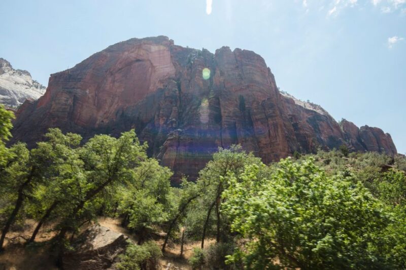 Las Vegas: Valley of Fire and Zion National Park 1-Day Tour - Inclusions