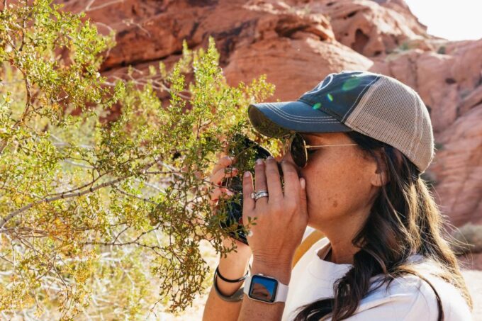Las Vegas: Valley of Fire Guided Hike With Drinks and Snacks - Customer Ratings and Reviews