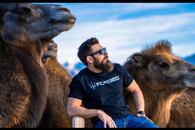 Las Vegas VIP Sunset Safari Tour - Key Points
