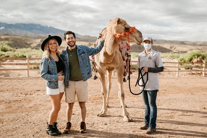 Las Vegas VIP Sunset Safari Tour - Bonfire and Smores Experience