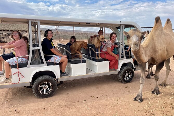 Las Vegas VIP Sunset Safari Tour - Private Tour Exclusivity