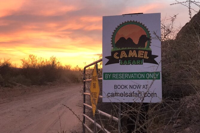 Las Vegas VIP Sunset Safari Tour - Cancellation and Reservation Policy