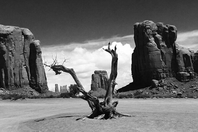 Las Vegas, Zion, Bryce, Monument Valley, Lake Powell, Grand Canyon Private Tour - Frequently Asked Questions