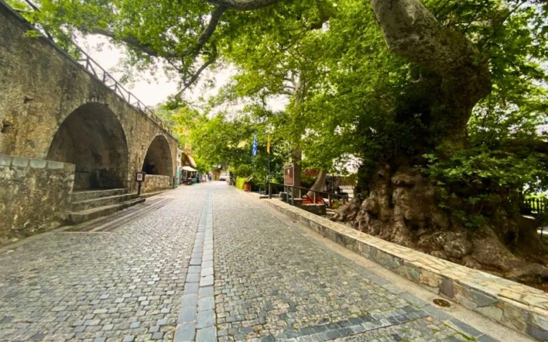 Lasithi Plateau, the Legendary Zeus Cave & Olive Oil Farm - Key Points