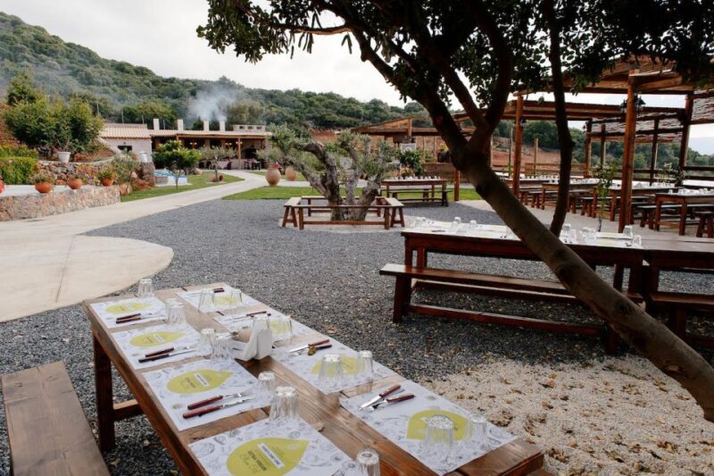 Lasithi Plateau, the Legendary Zeus Cave & Olive Oil Farm - Customer Feedback and Recommendations