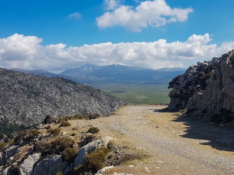 Lasithi V.I.P Safari With Lunch - Key Points