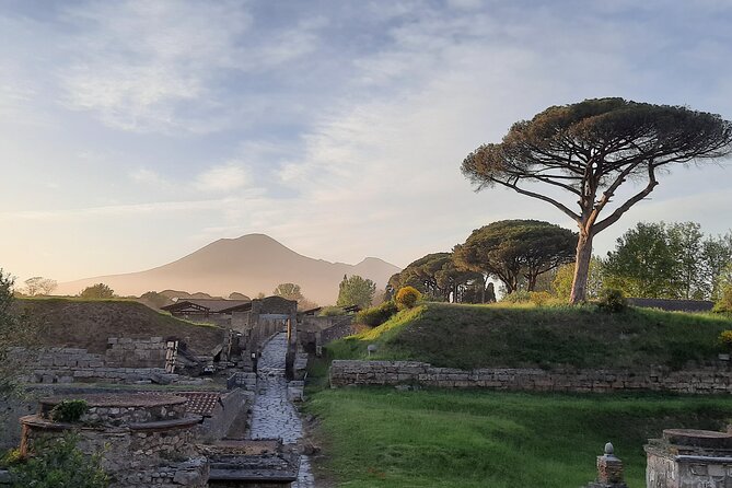 Late Afternoon Best Time to Visit Pompei on a Private Tour - Meeting and Pickup Information