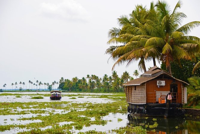 Late Evening Walking Mattancherry, Fort Kochi With Dinner - Inclusions