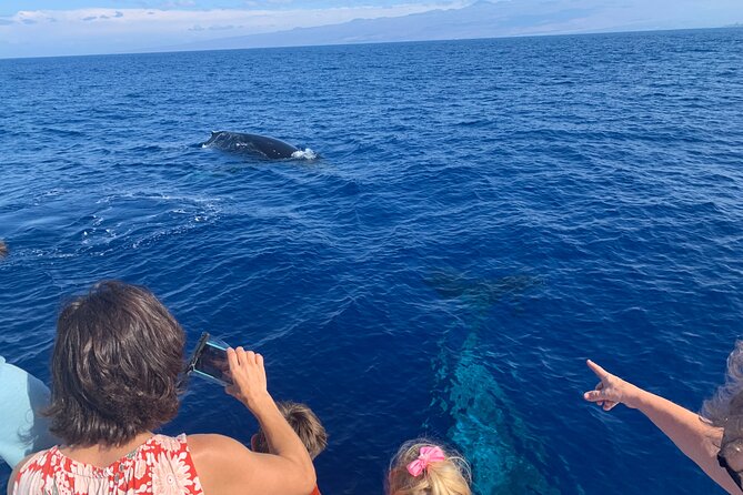 Late Morning Whale Watch Cruise From Abay - Meeting and Pickup