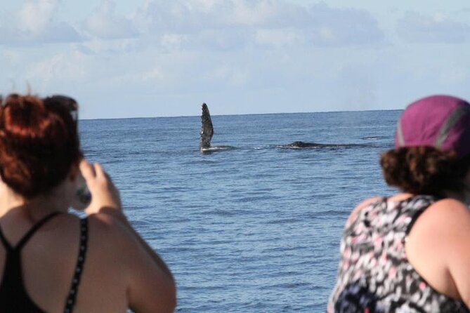 Late Morning Whale Watch Cruise From Abay - Preparing for the Cruise