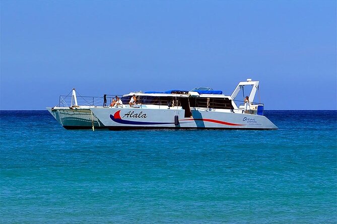 Late-Morning Whale Watch From Kawaihae - Snacks, Drinks, and Beverages Included