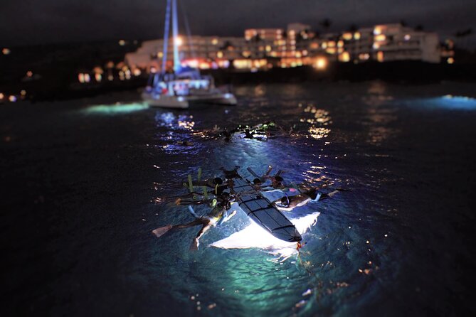 Late Night Manta Snorkel - Manta Ray Viewing Experience