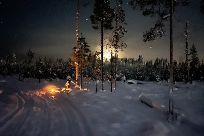 Late Night Ride With Finnhorses - Unforgettable Equine Adventure