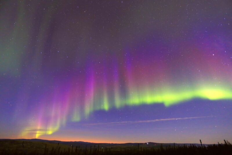 Late Night Yurt Dinner and Northern Lights - Experience Highlights