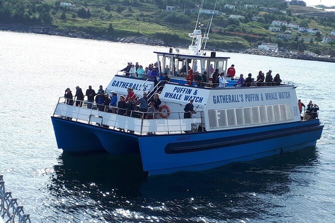 Late Season Puffin & Scenic Coastal Cruise - Tour Information