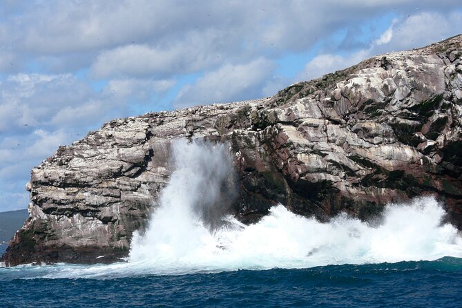 Late Season Puffin & Scenic Coastal Cruise - Cancellation/Refund Policy