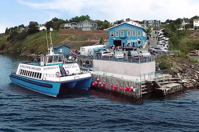 Late Season Puffin & Scenic Coastal Cruise - Safety Measures