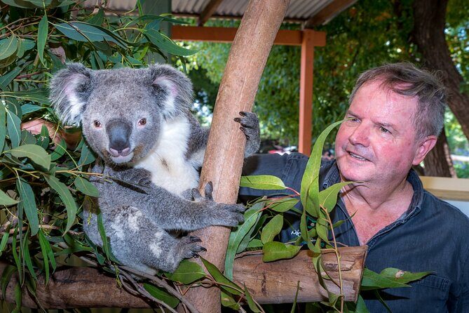 Late Start Blue Mountains Nature, Waterfalls, Koalas Small Group - FAQs