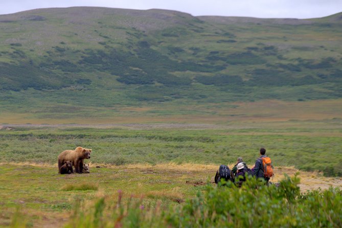Late Summer Bear Viewing in Katmai National Park - Lunch and Refreshments