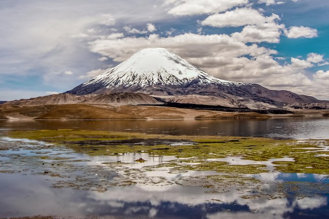 Lauca National Park 2D / 1N Arica - Putre - Lake Chungará - Arica - Key Points