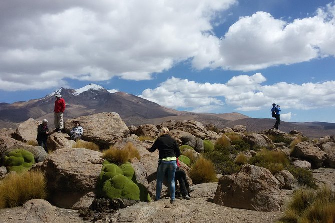 Lauca National Park 2D / 1N Arica - Putre - Lake Chungará - Arica - Accessibility and Health Considerations