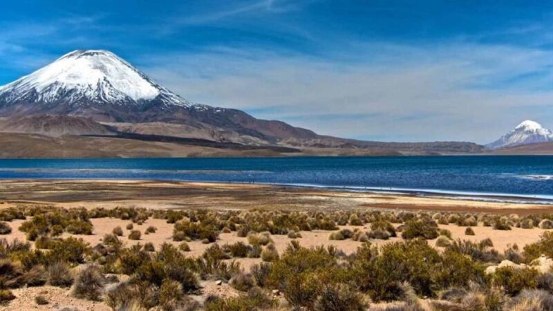 Lauca National Park and Chungara Lake - Key Points