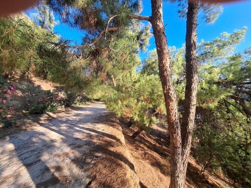 Laugh With Nafplio in Nature - Inclusions