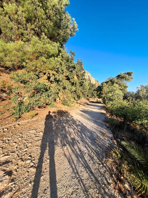 Laugh With Nafplio in Nature - Cancellation Policy