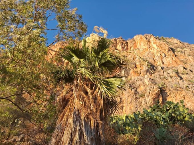 Laugh With Nafplio in Nature - Important Notes